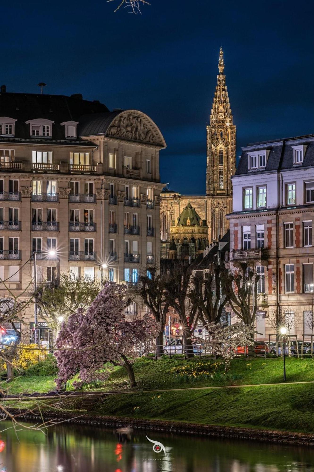 Appart & Studio Hyper Centre De Strasbourg - Proche Cathedrale & Petite France 외부 사진