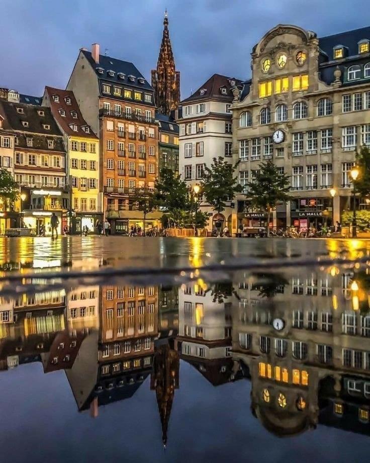 Appart & Studio Hyper Centre De Strasbourg - Proche Cathedrale & Petite France 외부 사진