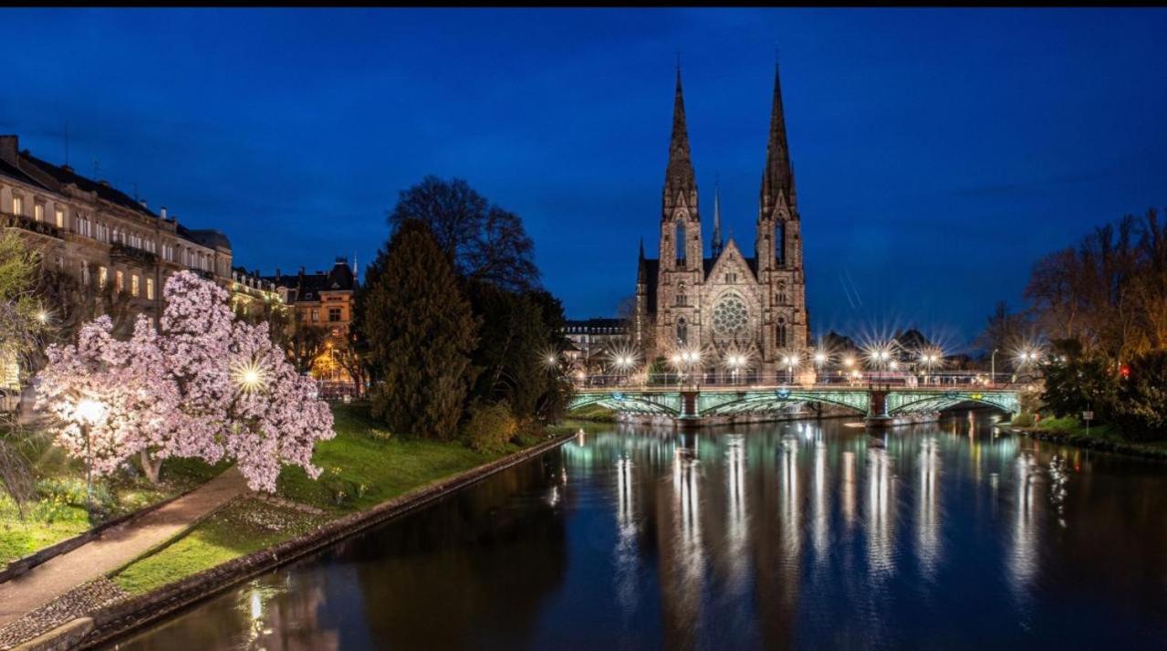 Appart & Studio Hyper Centre De Strasbourg - Proche Cathedrale & Petite France 외부 사진