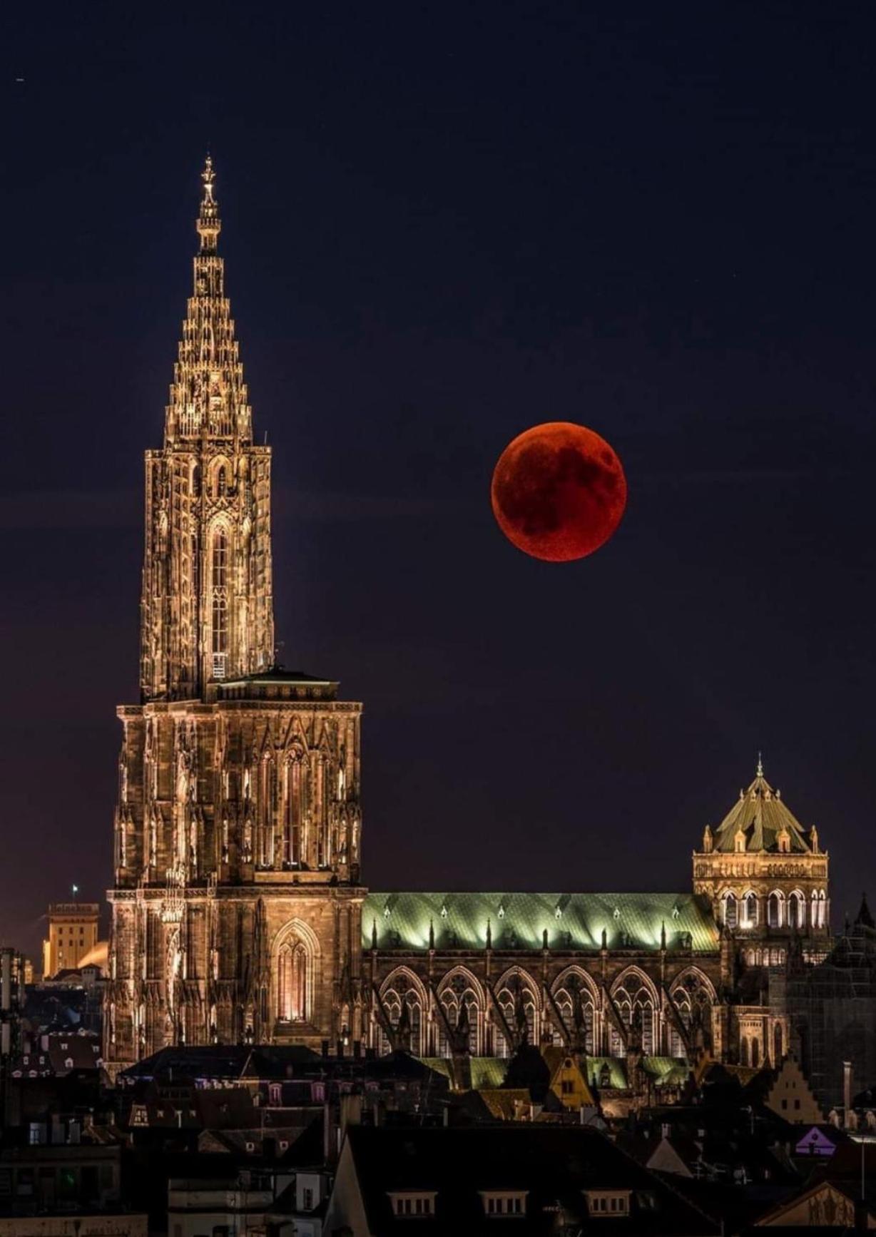 Appart & Studio Hyper Centre De Strasbourg - Proche Cathedrale & Petite France 외부 사진